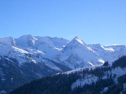 Geisler 061 